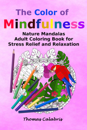 The Color Of Mindfulness Front Cover